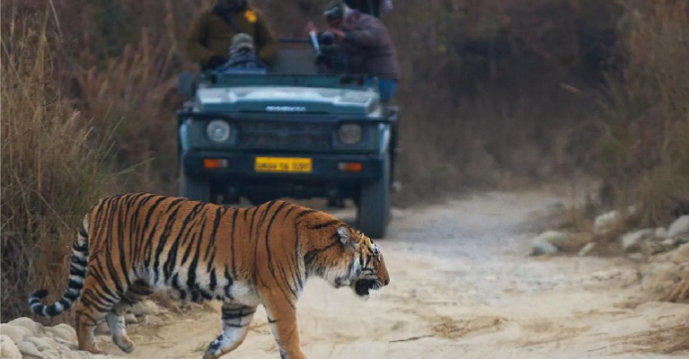 Uttarakhand Packages